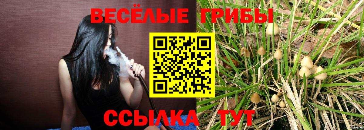 Галлюциногенные грибы прущие грибы  Вход с VPN  Верхняя Салда 