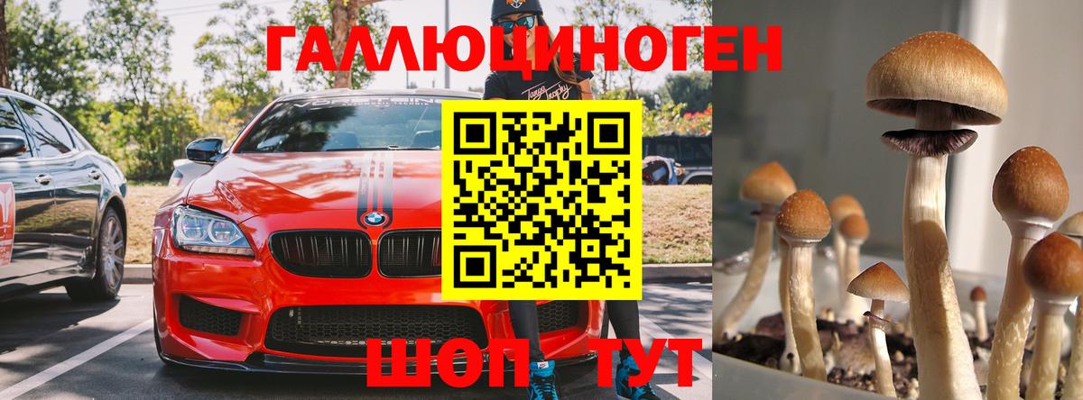 Галлюциногенные грибы ЛСД Верхняя Салда